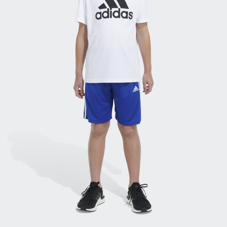 Short Adidas Trace Royal Classic Mesh 3s