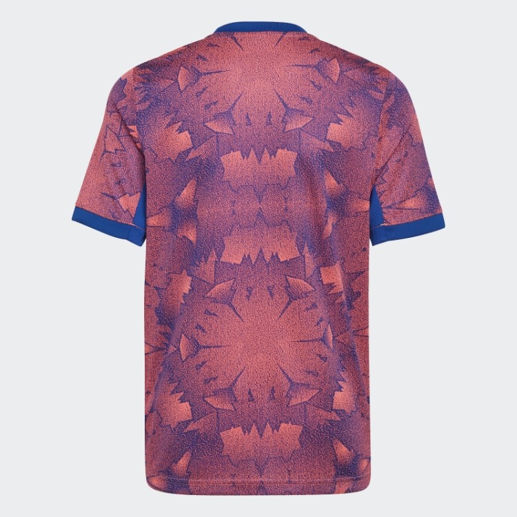 Juventus 22/23 Terceira Camisa Royal Adidas