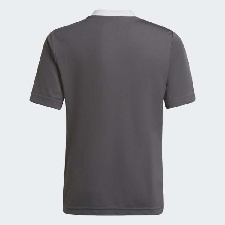 Entrada 22 Jersey Adidas Cinza
