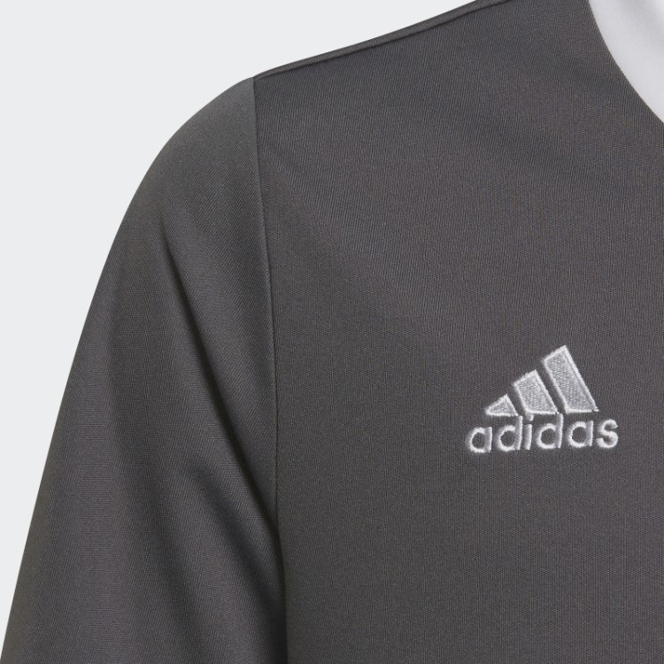 Entrada 22 Jersey Adidas Cinza