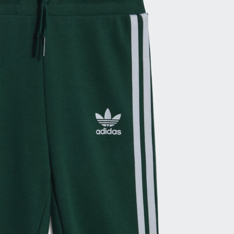Conjunto Moletom Adicolor Adidas Verde Escuro