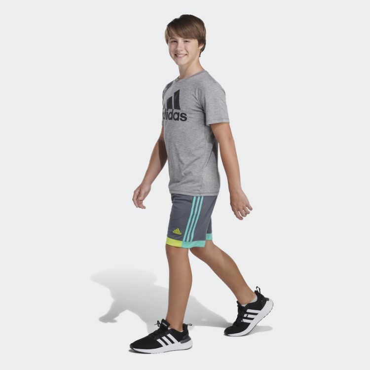 Calção Vencedor Adidas Cinza Verde