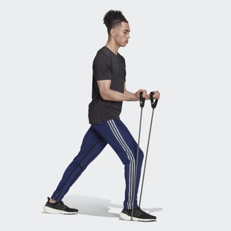 Melhor Das Calças De Treinamento Adidas Céu Noturno Quente