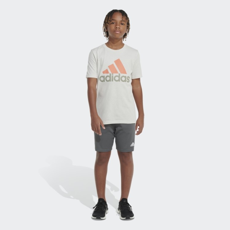 Distintivo De Alumínio De Dois Tons Da Camiseta Esportiva Da Adidas