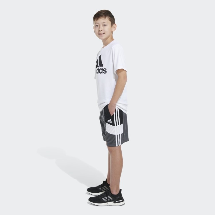 Adidas Bermuda Cinza Médio Vencedor 23