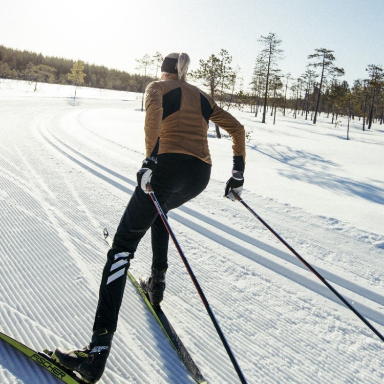 Terrex Xperior Cross-country Ski Jogger Soft Shell Adidas Preto