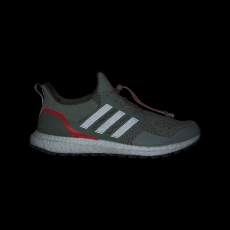 Tênis Ultraboost 1.0 Verde Prateado Adidas