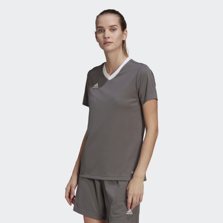 Adidas Entrada 22 Jersey Cinza