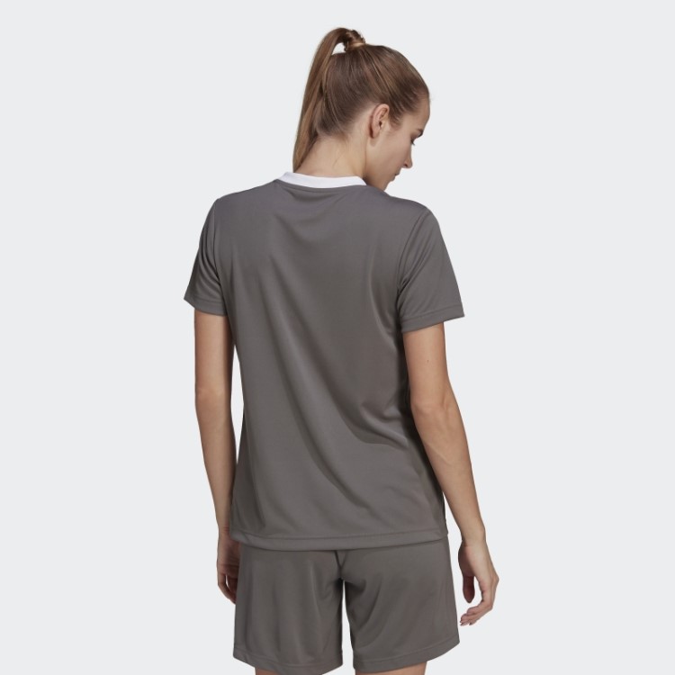 Adidas Entrada 22 Jersey Cinza