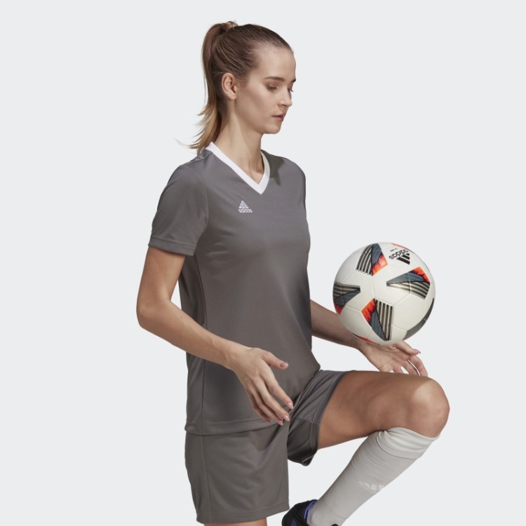 Adidas Entrada 22 Jersey Cinza