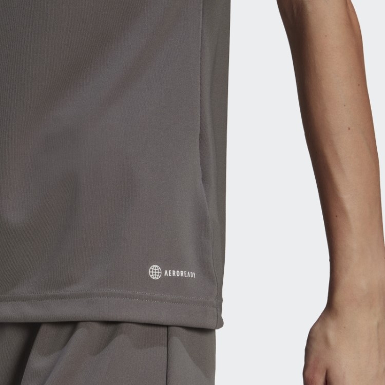 Adidas Entrada 22 Jersey Cinza