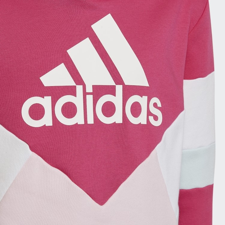 Moletom Com Capuz De Lã Colorblock Real Magenta Adidas