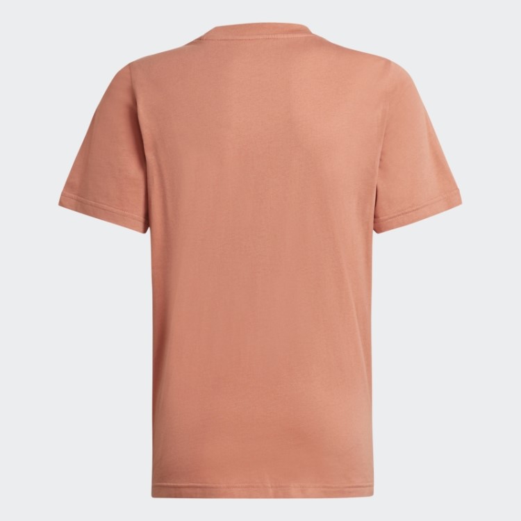 Camiseta Adicolor Adidas Terra