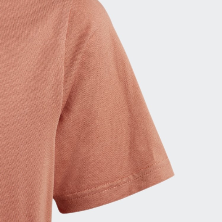 Camiseta Adicolor Adidas Terra