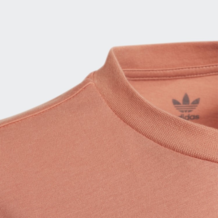 Camiseta Adicolor Adidas Terra