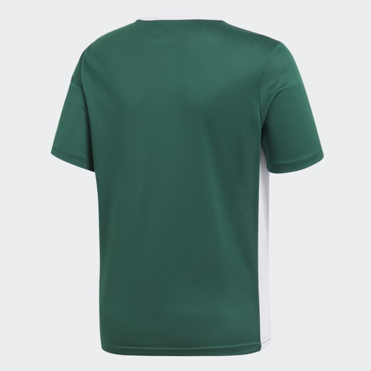 Camisa De Entrada Adidas Verde