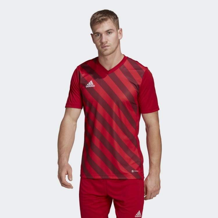 Camisa Vermelha Adidas Entrada 22 Graphic