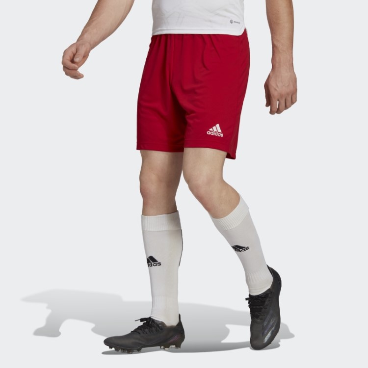 Entrada 22 Shorts Vermelho Adidas
