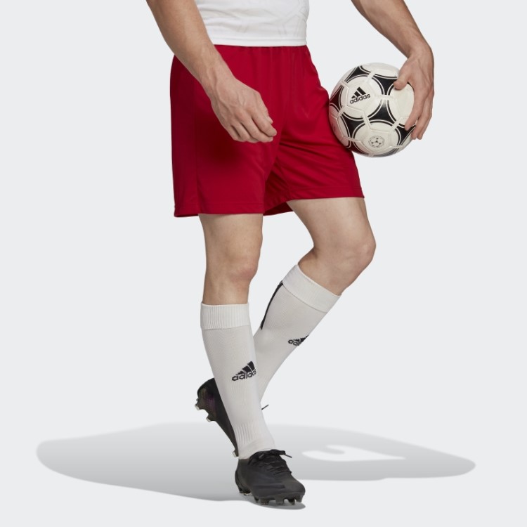 Entrada 22 Shorts Vermelho Adidas