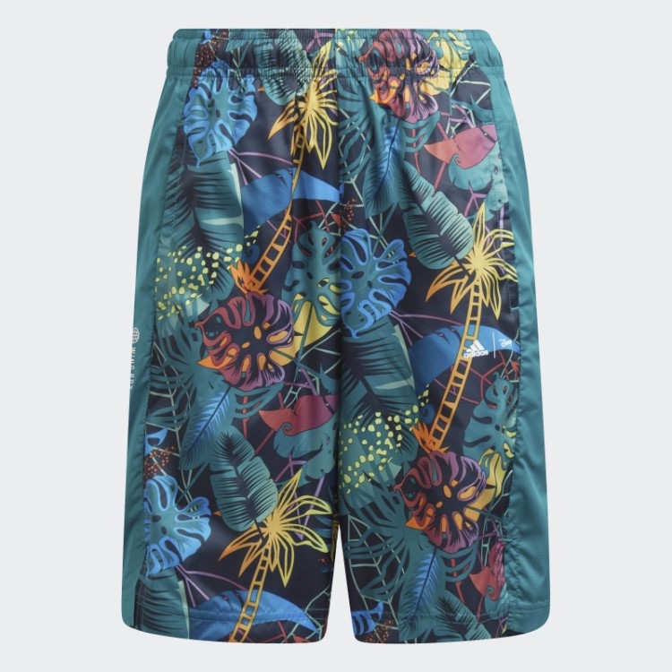 Adidas X Disney Conjunto Rei Leão Noite Quente Marinho
