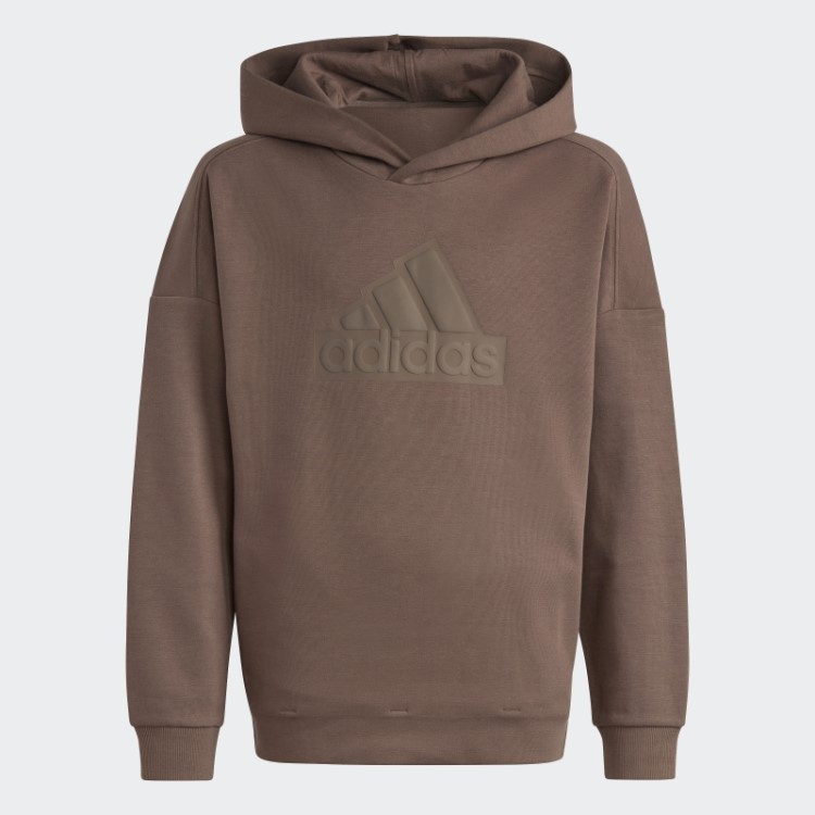 Moletom Com Capuz Adidas Earth Future Icons