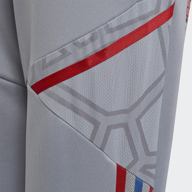 Olympique Lyonnais Tiro 21 Calção De Treino Adidas Prata