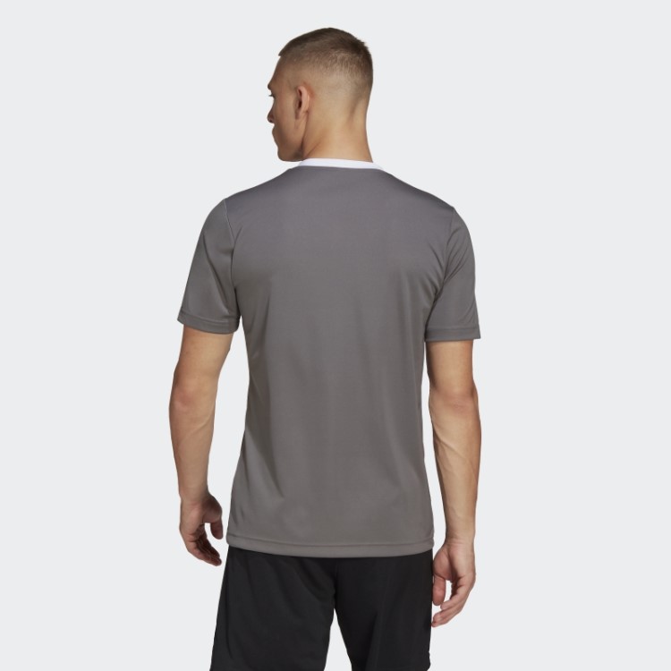 Cinza Entrada 22 Jersey Adidas
