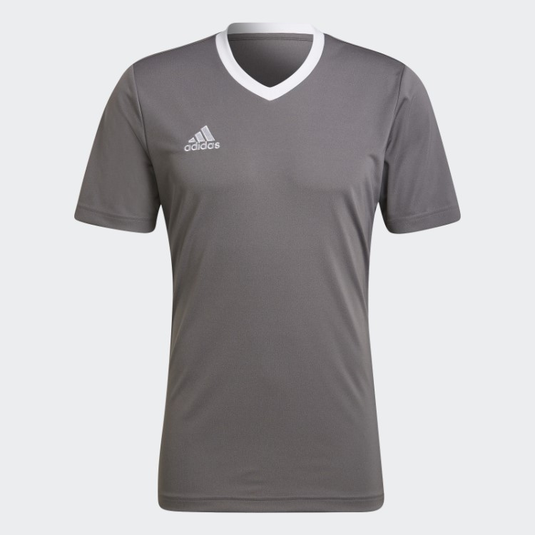 Cinza Entrada 22 Jersey Adidas