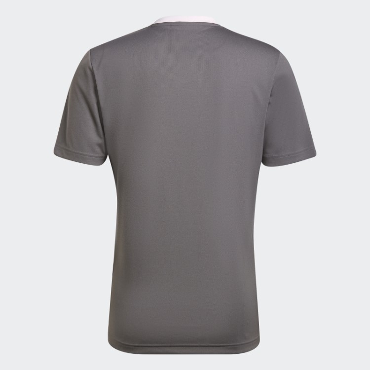 Cinza Entrada 22 Jersey Adidas