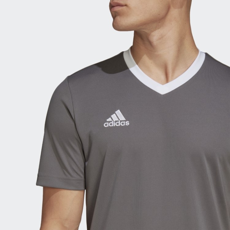Cinza Entrada 22 Jersey Adidas