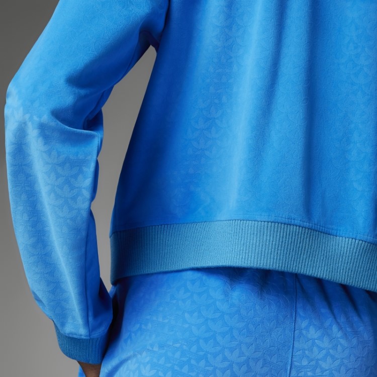 Adidas Adicolor Heritage Now Moletom Com Capuz De Veludo Azul Pássaro
