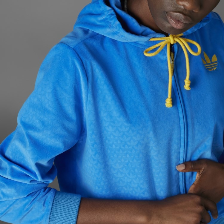 Adidas Adicolor Heritage Now Moletom Com Capuz De Veludo Azul Pássaro