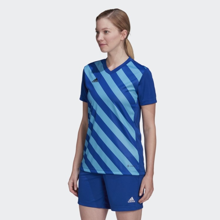 Camisa Adidas Royal Blue Entrada 22 Graphic