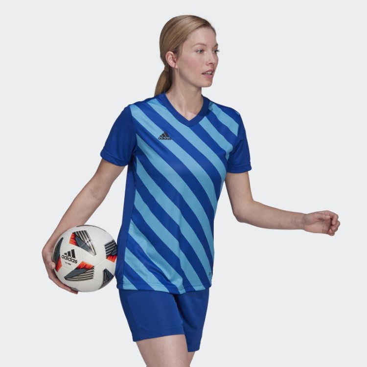 Camisa Adidas Royal Blue Entrada 22 Graphic