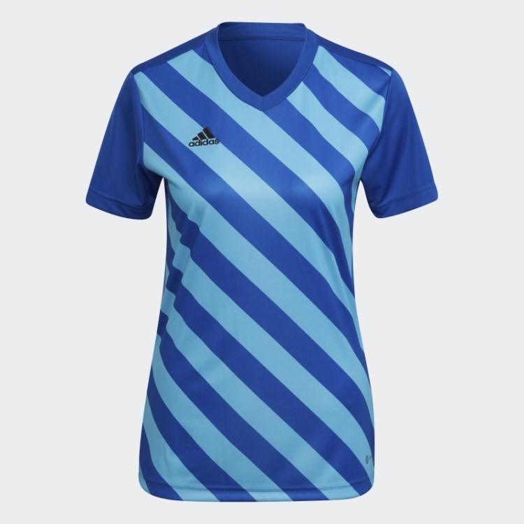 Camisa Adidas Royal Blue Entrada 22 Graphic