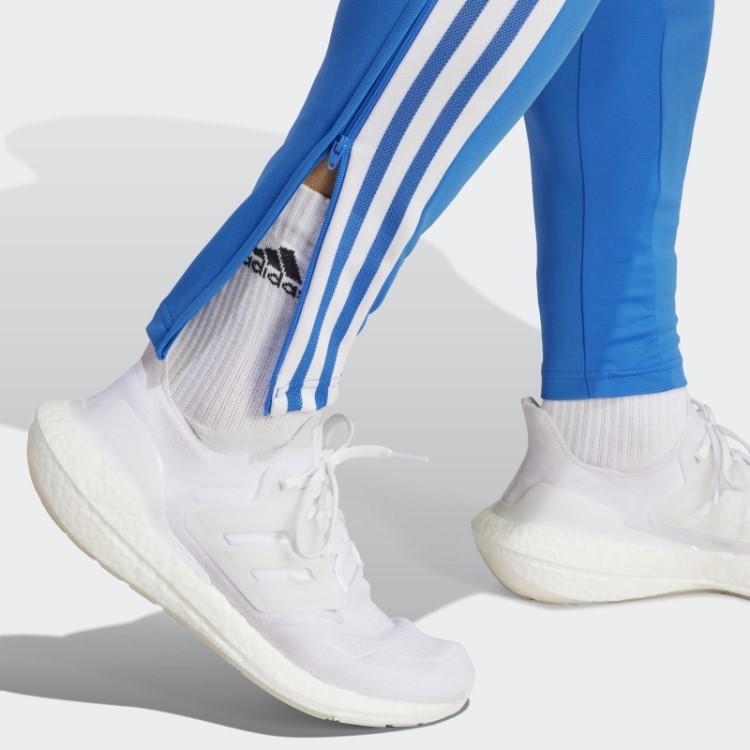 Calça De Treino Royal Fc Bayern Condivo 22 Adidas