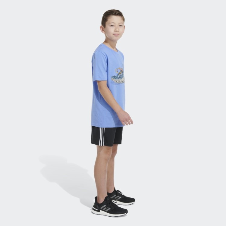 Sapato Jardim Camiseta Azul Adidas