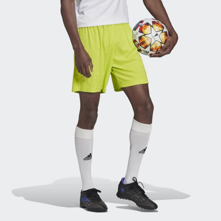 Entrada 22 Shorts Sol Amarelo Adidas
