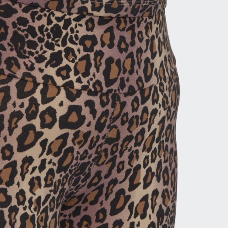 Meia Calça Bike (plus Size) Preta Adidas