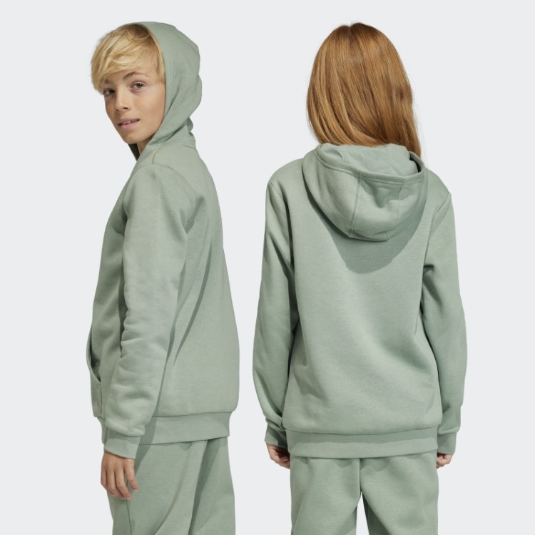 Moletom Adicolor Verde Prateado Adidas