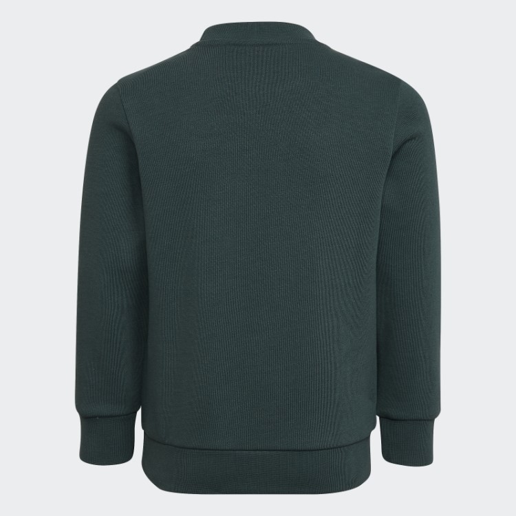 Conjunto De Equipe Adidas Adicolor Verde Mineral