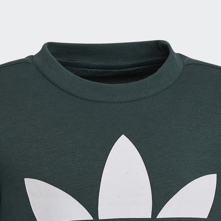 Conjunto De Equipe Adidas Adicolor Verde Mineral