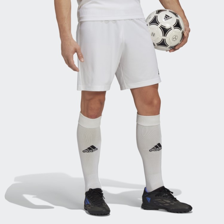 Entrada 22 Shorts Adidas Branco