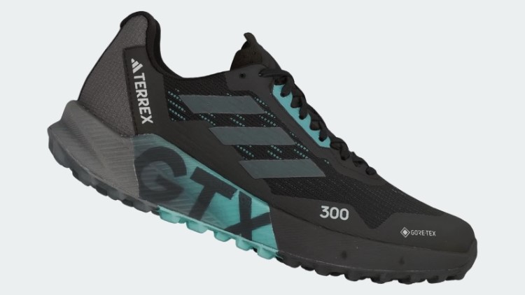 Tênis De Corrida De Trilha Adidas Cinza Adidas Terrex Agravic Flow 2.0 Gore-tex