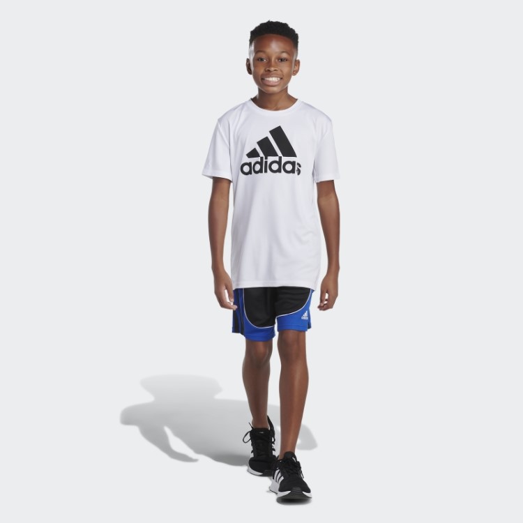 Shorts Criador Preto Azul Adidas