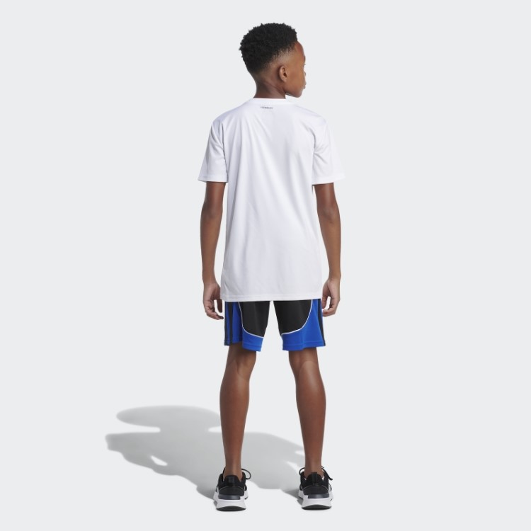 Shorts Criador Preto Azul Adidas