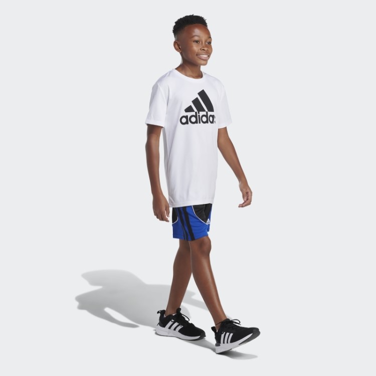 Shorts Criador Preto Azul Adidas
