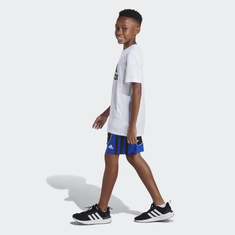 Shorts Criador Preto Azul Adidas