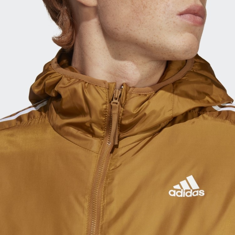Jaqueta Com Capuz Isolada Essentials Adidas Bronze