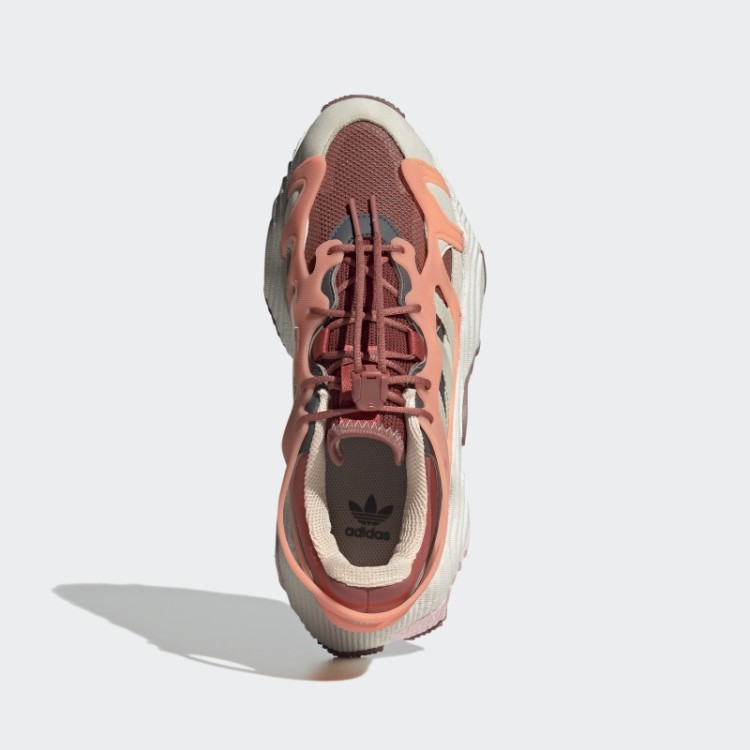 Sapatos De Aventura Adidas Earth Roverend